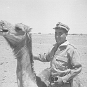 227ATN SMARA